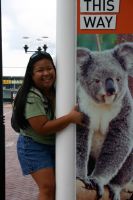 sydney wildlife